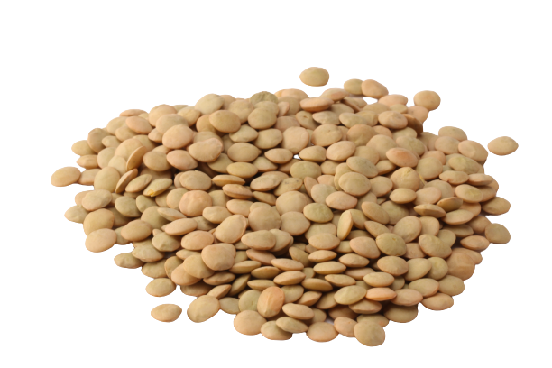 imgProduct