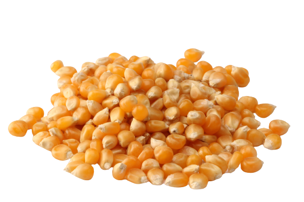 imgProduct
